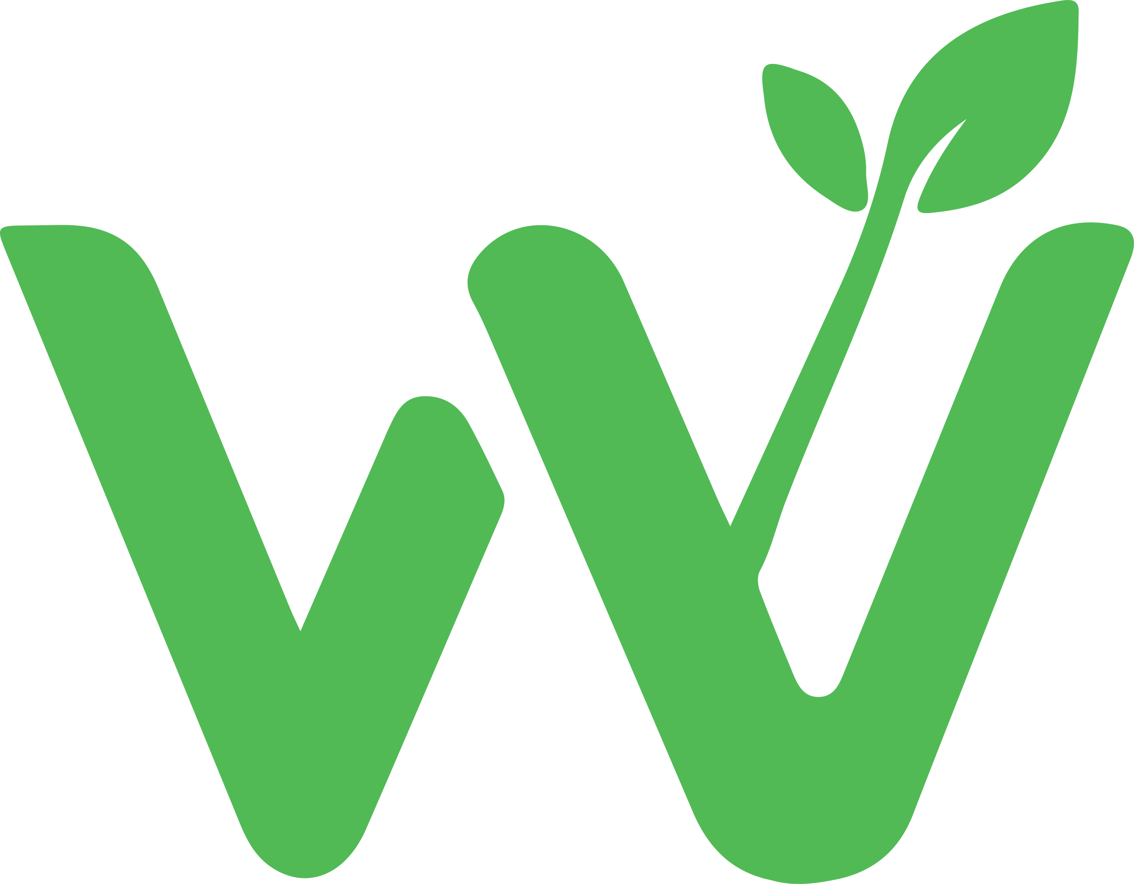 Wishful AI Logo